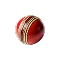 Cricket icon